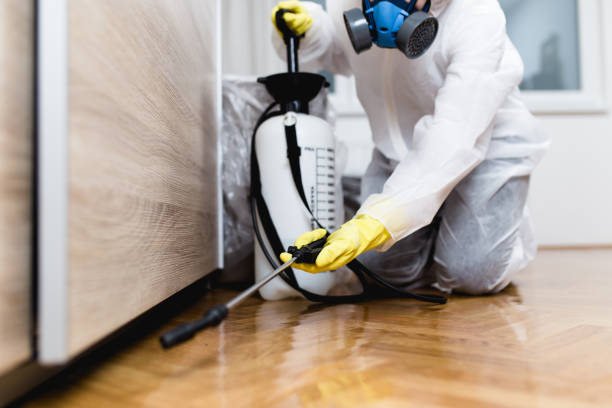 Best Pest Control Near Me in Roberta, GA