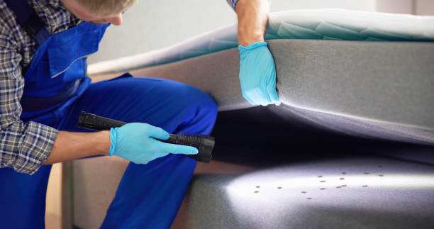 Best Affordable Pest Control Services  in Roberta, GA