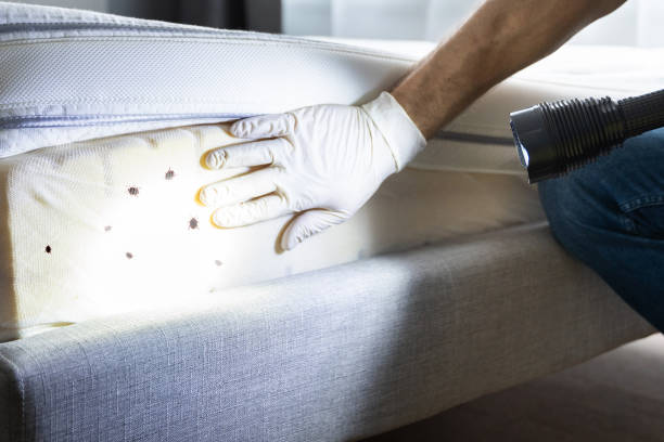 Best Residential Pest Control  in Roberta, GA