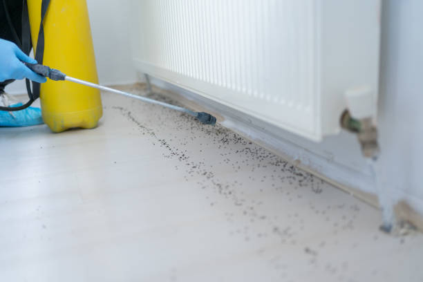 Best Pest Prevention Services  in Roberta, GA