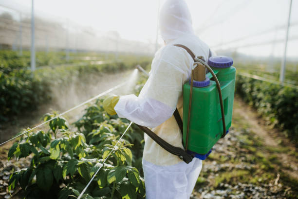 Best Residential Pest Control  in Roberta, GA
